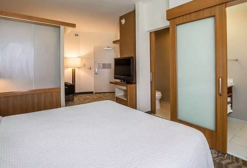 Sviitti Liikuntarajoitteisille, Springhill Suites By Marriott Houston Rosenberg