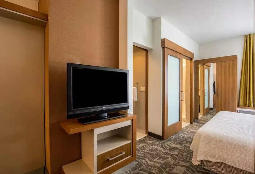 Sviitti Liikuntarajoitteisille, Springhill Suites By Marriott Houston Rosenberg