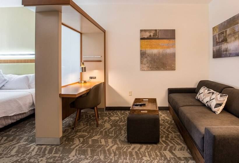 Люкс Адаптированный для Инвалидов, Springhill Suites By Marriott Houston Rosenberg