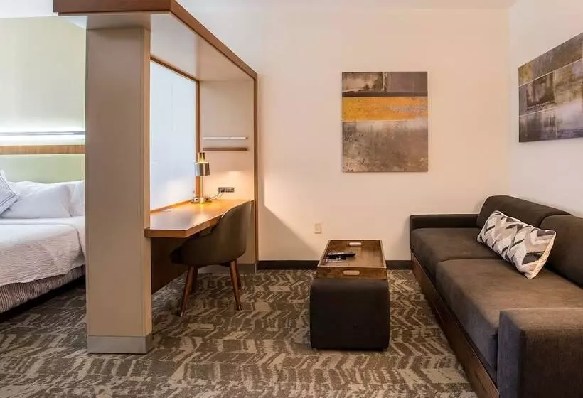 Sviitti Liikuntarajoitteisille, Springhill Suites By Marriott Houston Rosenberg