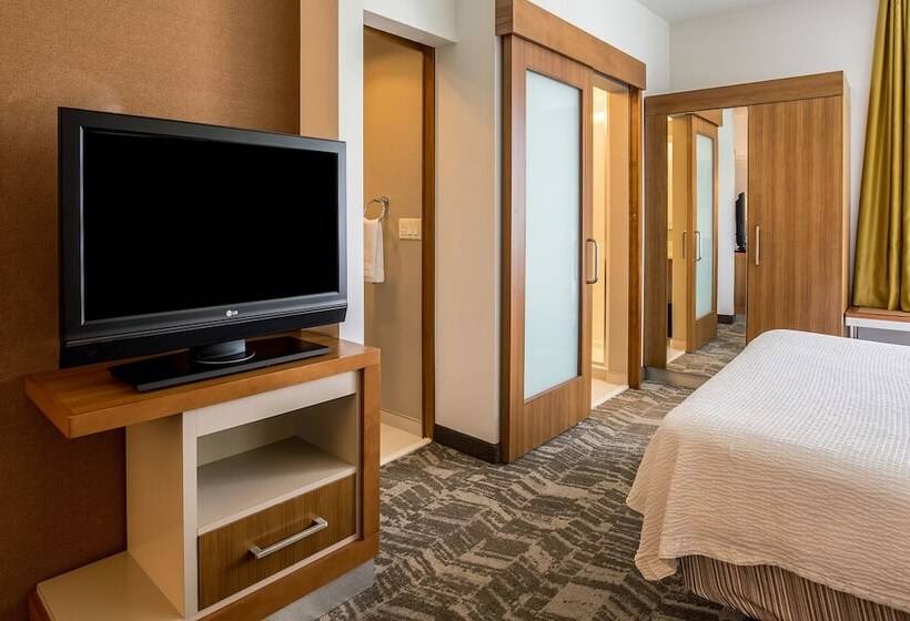 סוויטה מותאמת לאדם עם מוגבלויות, Springhill Suites By Marriott Houston Rosenberg