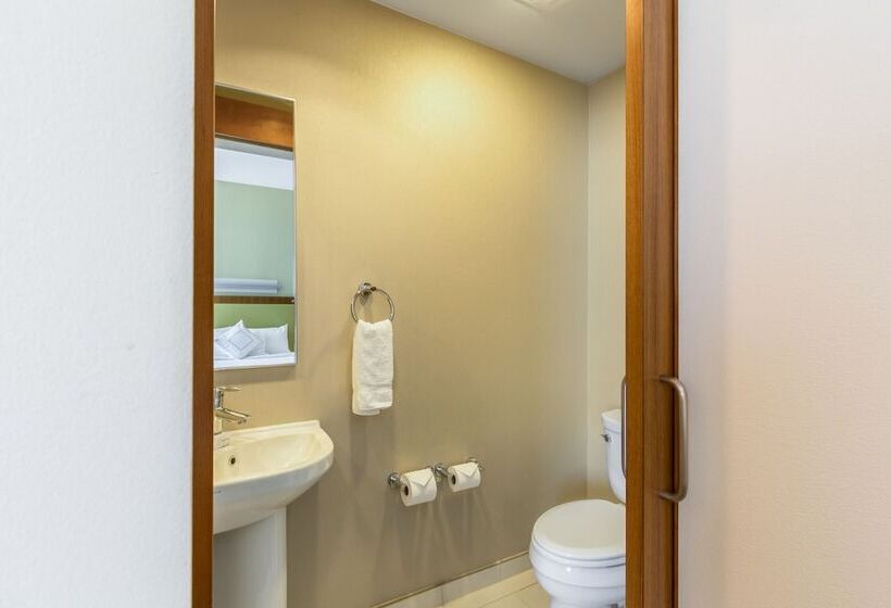 סוויטה מותאמת לאדם עם מוגבלויות, Springhill Suites By Marriott Houston Rosenberg