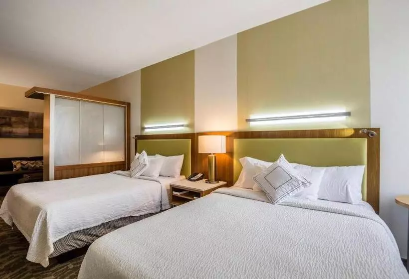 Standard-studio, Springhill Suites By Marriott Houston Rosenberg