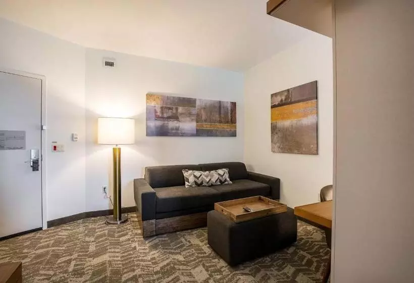 Standard-studio, Springhill Suites By Marriott Houston Rosenberg