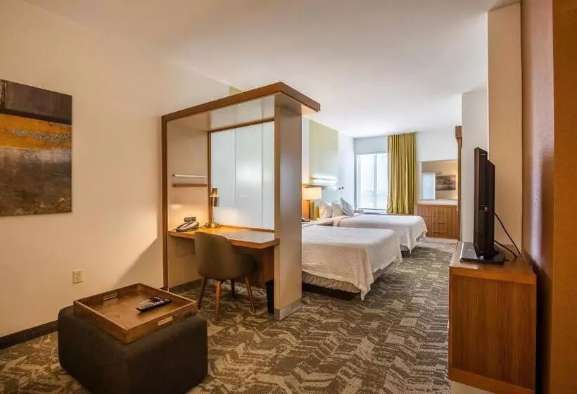 Standard-studio, Springhill Suites By Marriott Houston Rosenberg