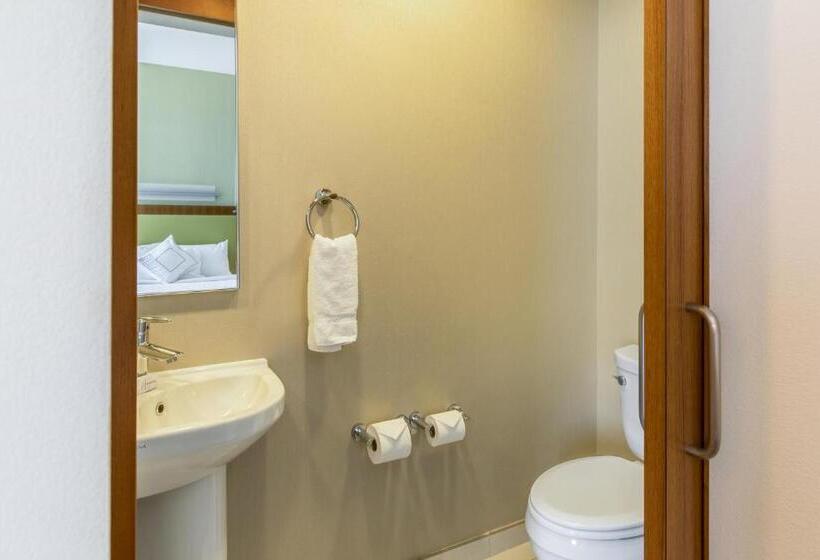 חדר סטודיו סטנדרד, Springhill Suites By Marriott Houston Rosenberg