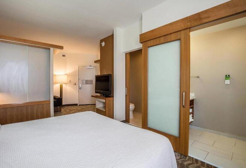 סטודיו סטנדרט, מיטה זוגית, Springhill Suites By Marriott Houston Rosenberg