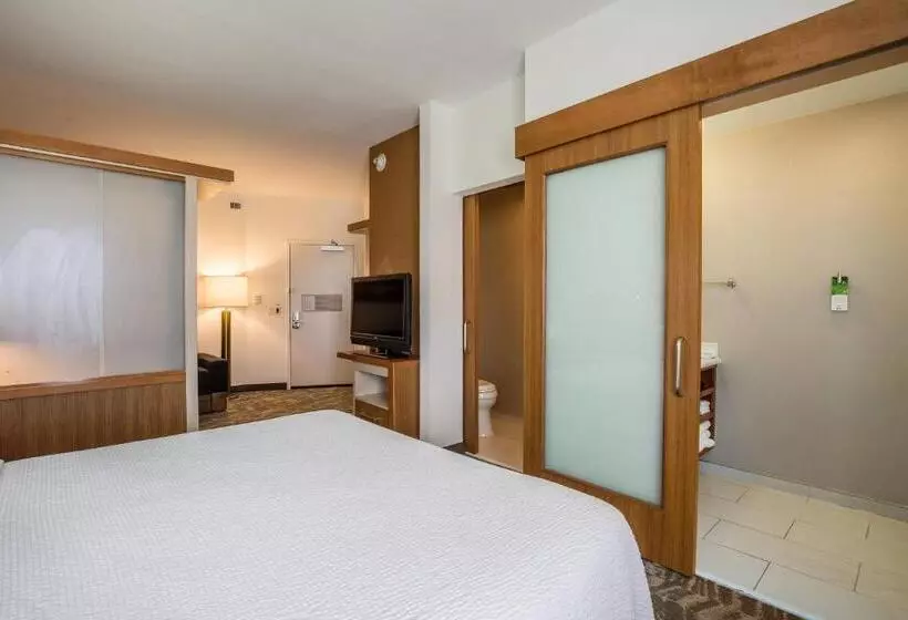 Standard-studio King-vuode, Springhill Suites By Marriott Houston Rosenberg