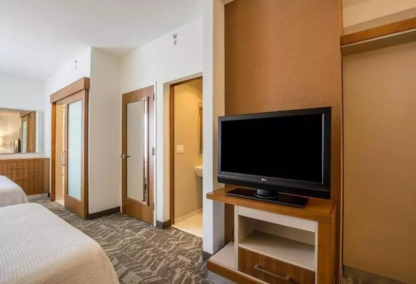 Standard-studio King-vuode, Springhill Suites By Marriott Houston Rosenberg