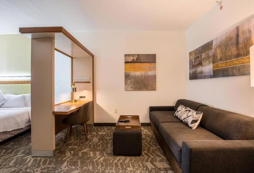 סוויטה מותאמת לאדם עם מוגבלויות, Springhill Suites By Marriott Houston Rosenberg