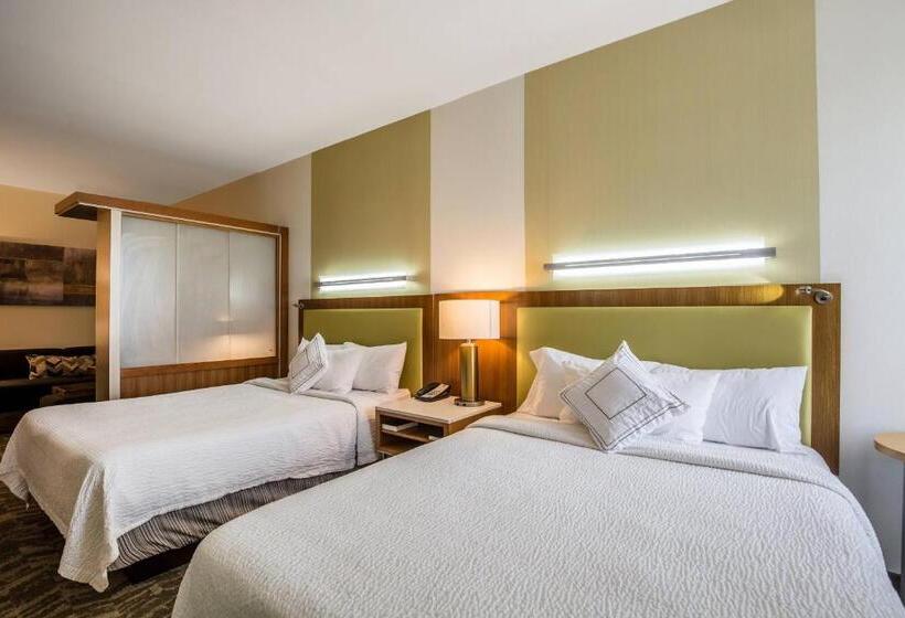 סוויטה מותאמת לאדם עם מוגבלויות, Springhill Suites By Marriott Houston Rosenberg