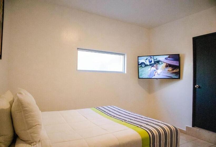 豪华单人间, Donjuan By Melida