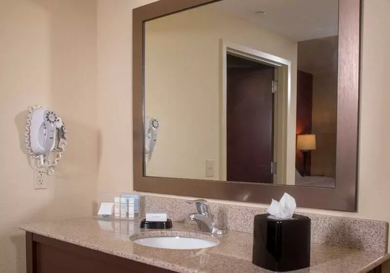 スタンダードスタジオ, Hampton Inn & Suites Woodstock, Va