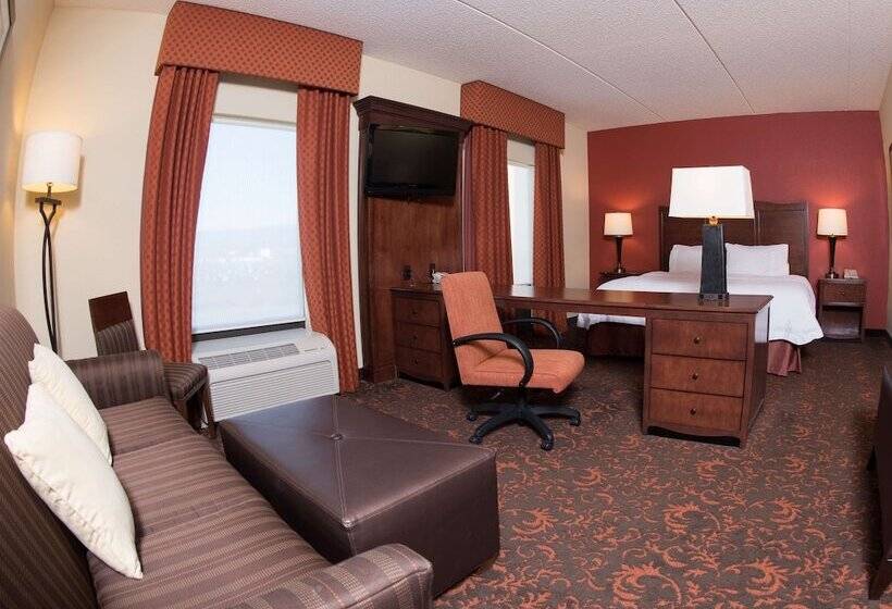 חדר סטודיו סטנדרד, Hampton Inn & Suites Woodstock, Va