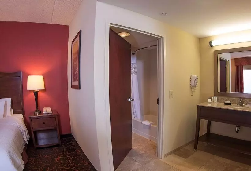 スタンダードスタジオ, Hampton Inn & Suites Woodstock, Va