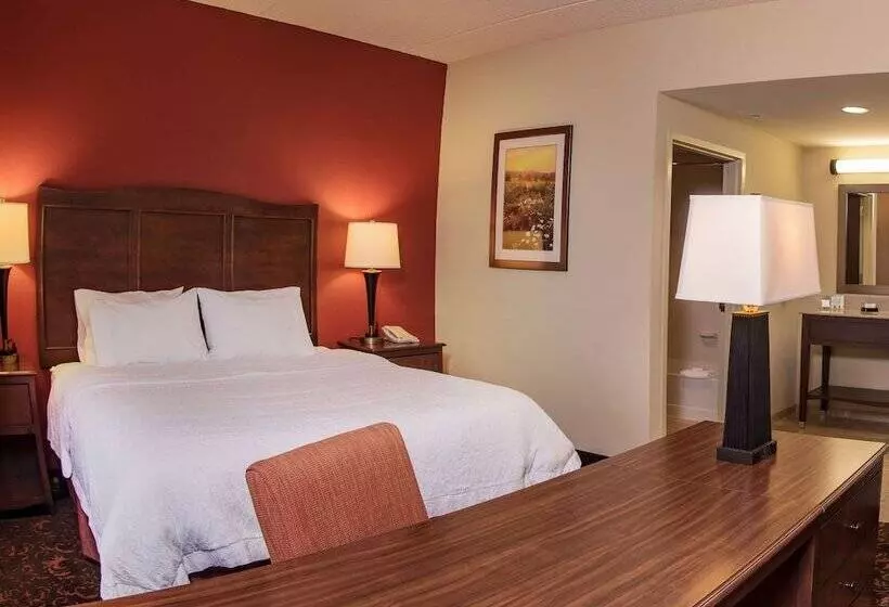 スタンダードスタジオ, Hampton Inn & Suites Woodstock, Va