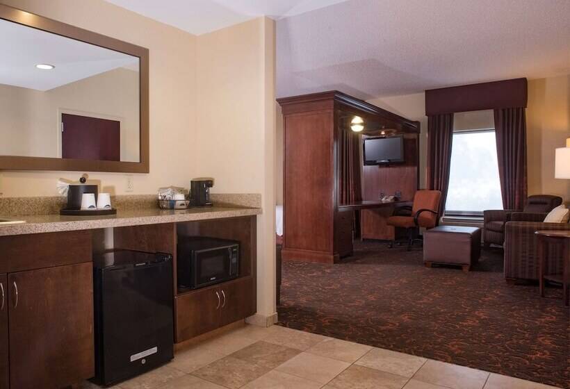 חדר סטודיו סטנדרד, Hampton Inn & Suites Woodstock, Va