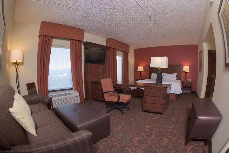 キングサイドベッドのスタンダードワンルーム, Hampton Inn & Suites Woodstock, Va
