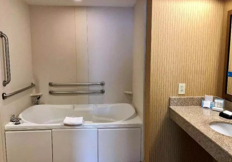 キングサイドベッドのスタンダードワンルーム, Hampton Inn & Suites Woodstock, Va