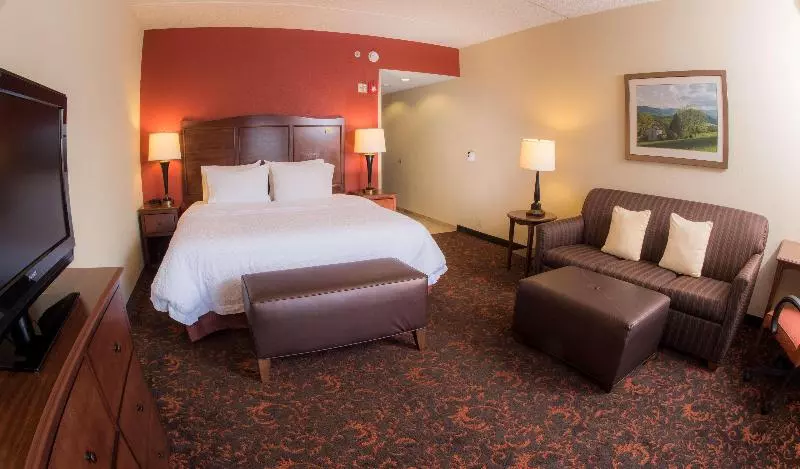 キングサイドベッドのスタンダードワンルーム, Hampton Inn & Suites Woodstock, Va