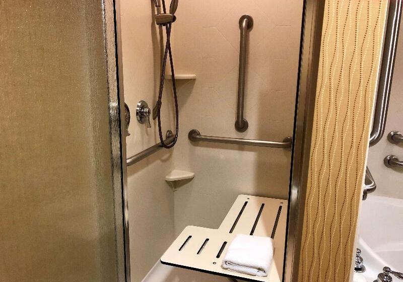 Студио Стандарт Кровать Кинг, Hampton Inn & Suites Woodstock, Va