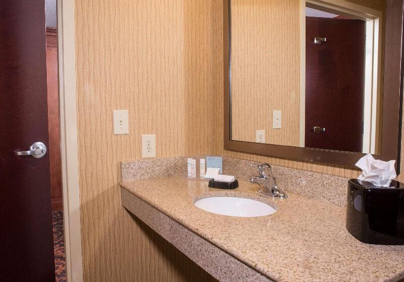 חדר סטנדרט עם מיטת קינג, Hampton Inn & Suites Woodstock, Va