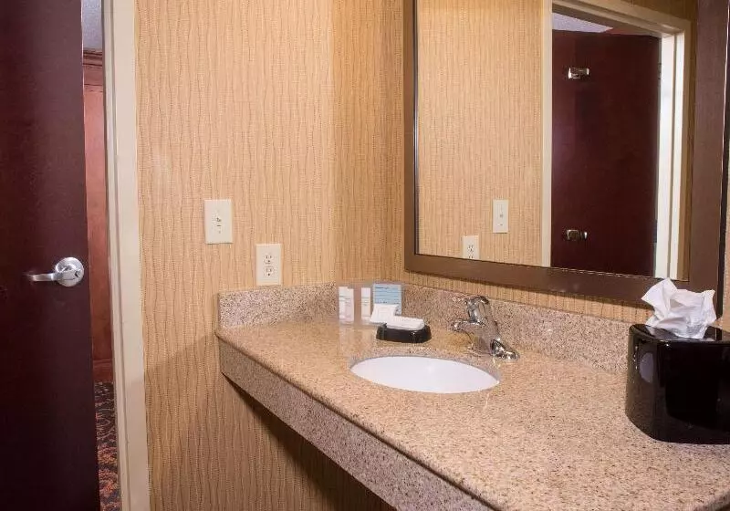 キングサイズベッドのスタンダードルーム, Hampton Inn & Suites Woodstock, Va