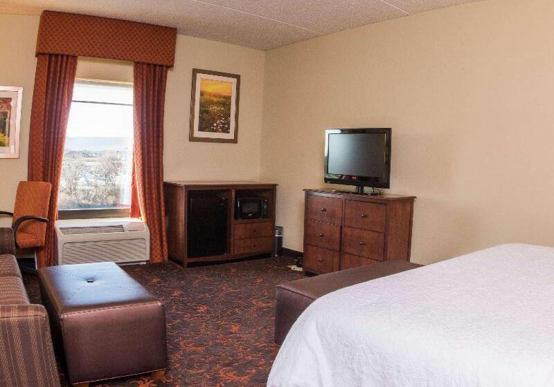 חדר סטנדרט עם מיטת קינג, Hampton Inn & Suites Woodstock, Va