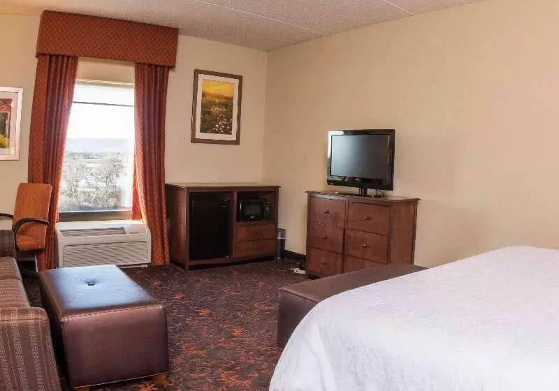 キングサイズベッドのスタンダードルーム, Hampton Inn & Suites Woodstock, Va
