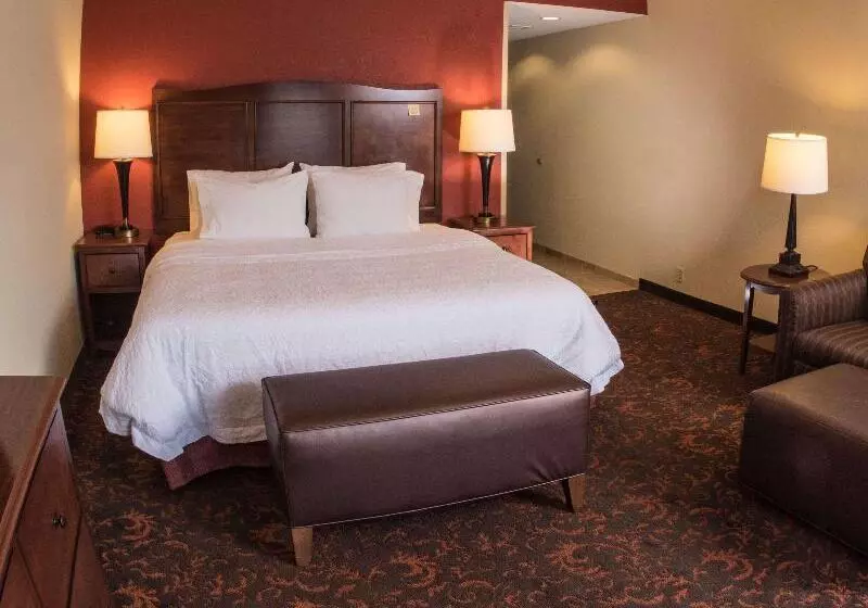 キングサイズベッドのスタンダードルーム, Hampton Inn & Suites Woodstock, Va