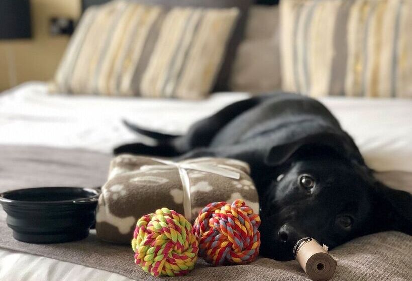 غرفة قياسية, The Ashleigh   Dog Friendly