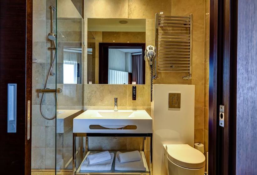 اتاق لوکس یک تخته, Copernicus Toruń