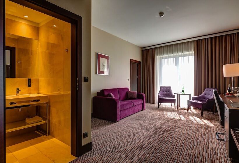 آپارتمان 1 خوابه, Copernicus Toruń