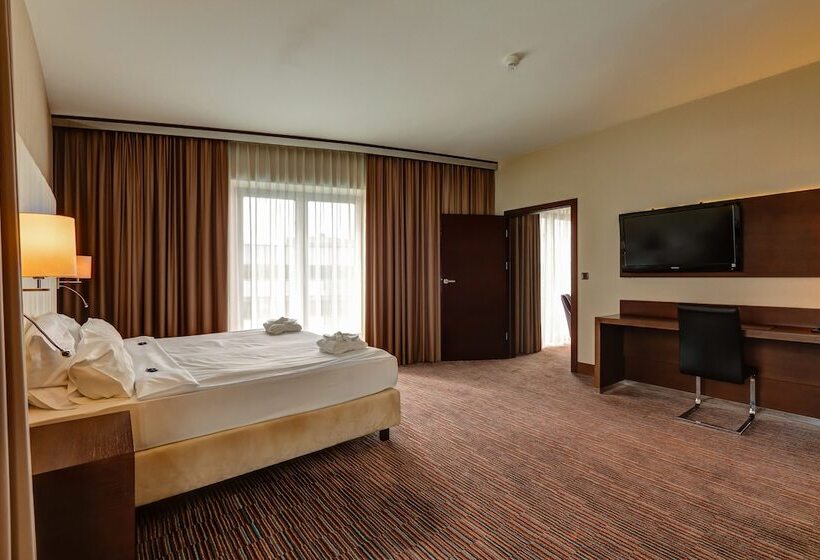 آپارتمان 1 خوابه, Copernicus Toruń