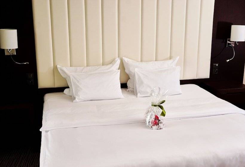 اتاق استاندارد, Copernicus Toruń