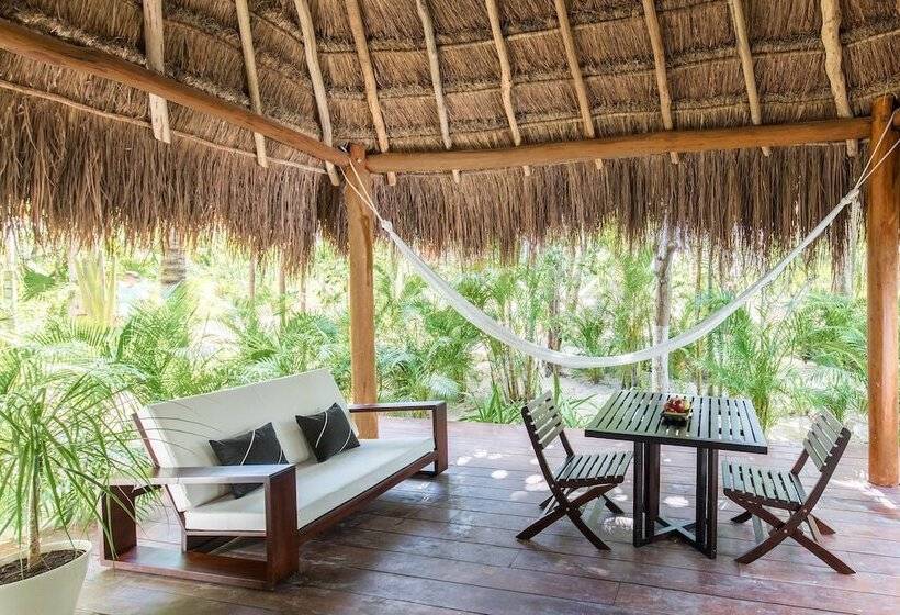 スイート, Esencia