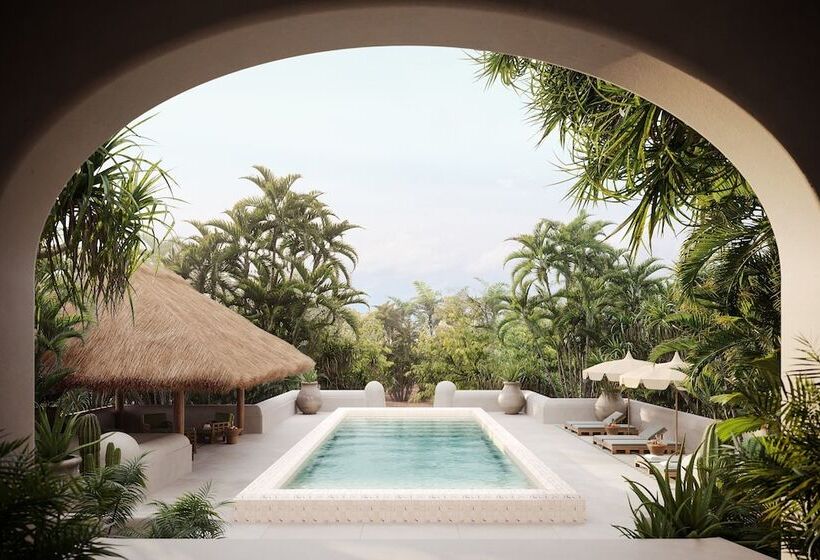 スタンダードルーム, Esencia