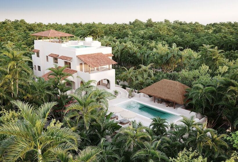 スタンダードルーム, Esencia