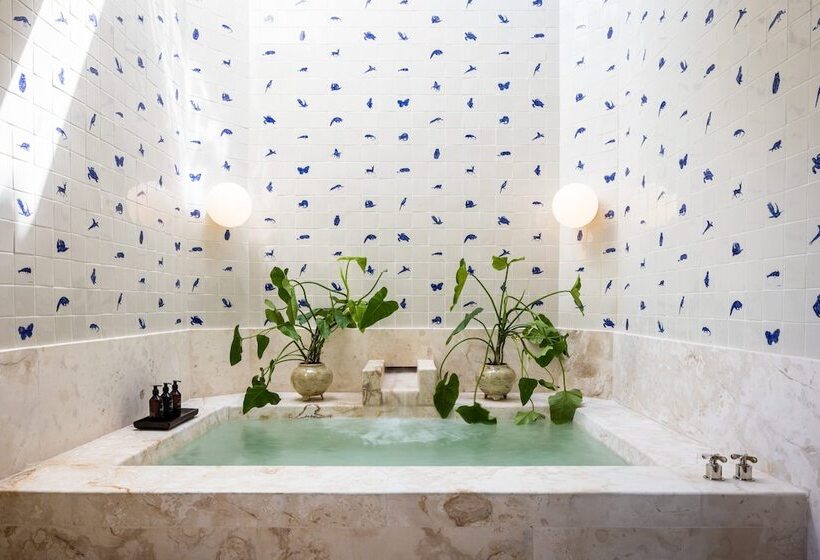 スタンダードルーム, Esencia