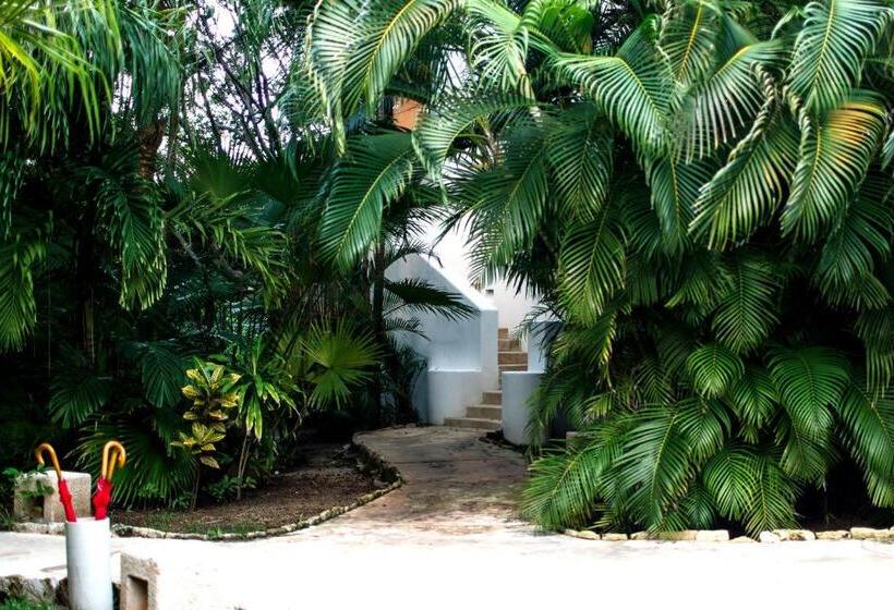 スタンダードルーム, Esencia