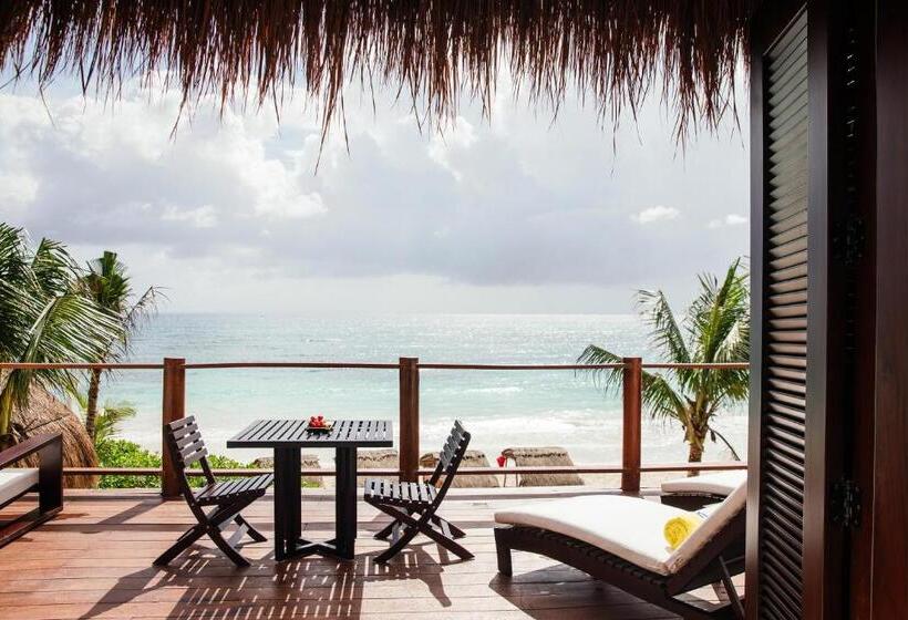 スイート, Esencia