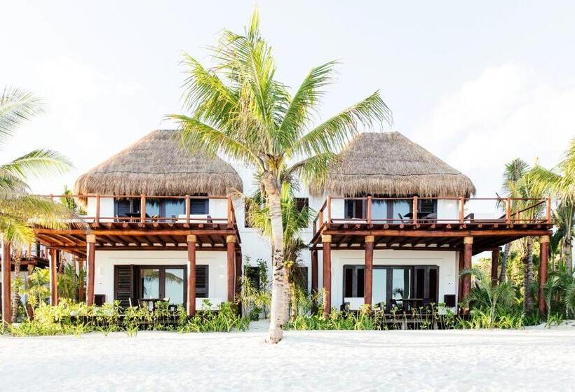 スイート, Esencia