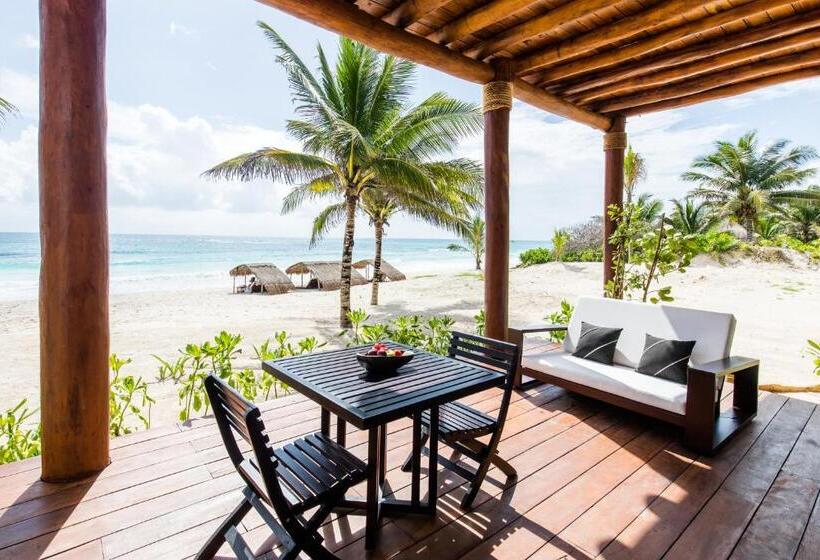 スイート, Esencia