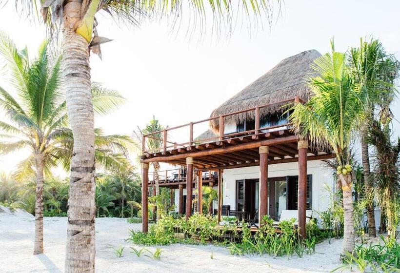 オーシャンビュースーペリアースイート, Esencia