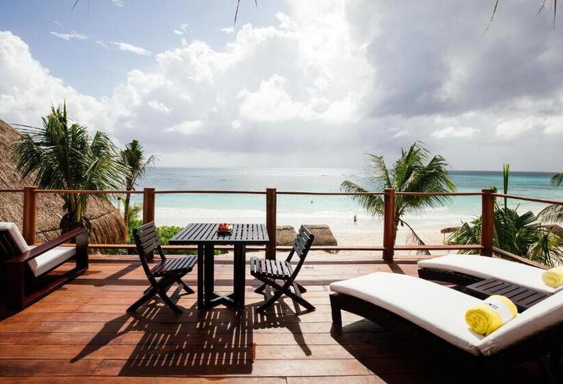 オーシャンビュースーペリアースイート, Esencia