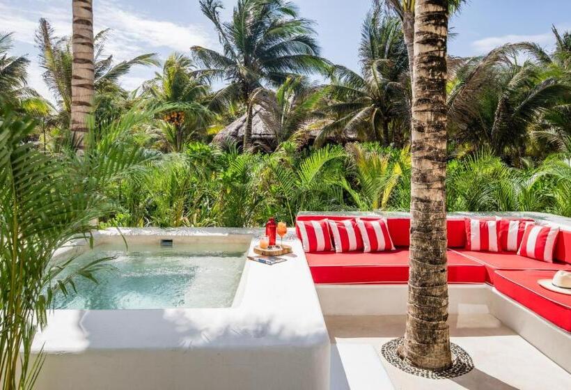 オーシャンビュースーペリアースイート, Esencia