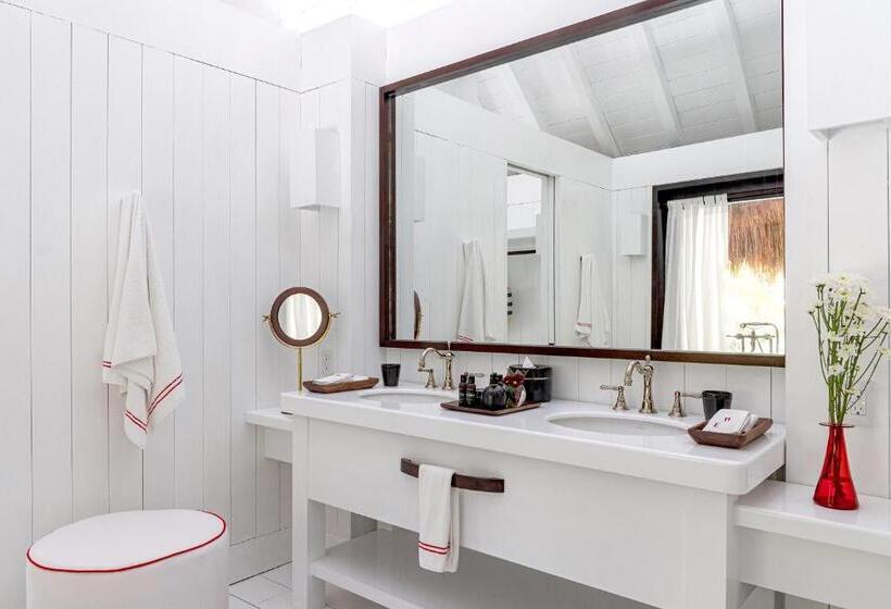 スタンダード４人部屋, Esencia