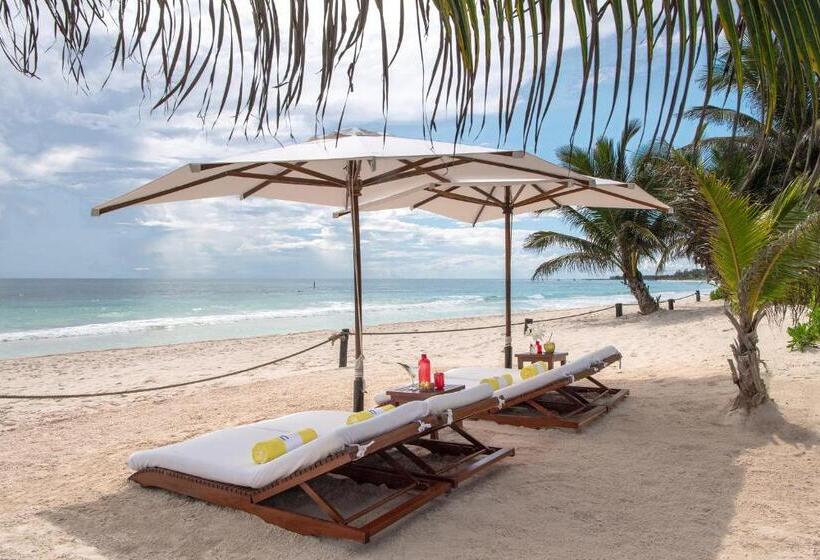 スタンダード４人部屋, Esencia