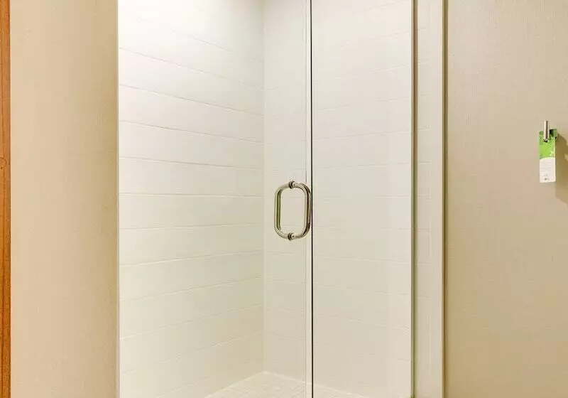 استودیوی استاندارد, Springhill Suites By Marriott Mcallen Convention Center