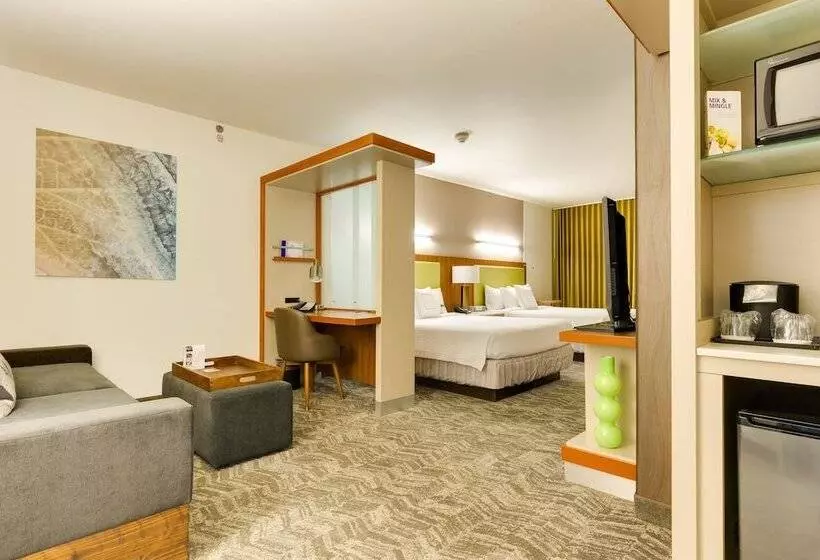 استودیوی استاندارد, Springhill Suites By Marriott Mcallen Convention Center
